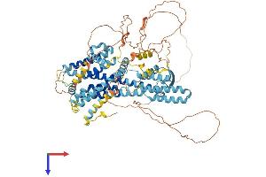 PHTF2 Protein (AA 1-747) (His tag)