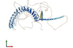 Protein Structure (PS) image for Inversin (INVS) (AA 1-1062) protein (His tag) (ABIN7562704)