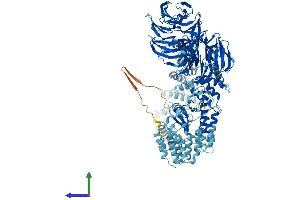 Protein Structure (PS) image for Intraflagellar Transport 122 (IFT122) (AA 1-1182) protein (His tag) (ABIN7564059)
