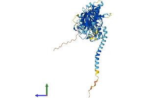 Protein Structure (PS) image for Diacylglycerol Kinase, epsilon 64kDa (DGKE) (AA 1-567) protein (His tag) (ABIN7547072)
