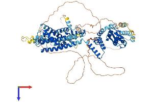HCN3 Protein (AA 1-779) (His tag)