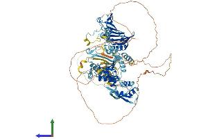 Protein Structure (PS) image for PMS2 Postmeiotic Segregation Increased 2 (S. Cerevisiae) (PMS2) (AA 1-859) protein (His tag) (ABIN7563447)