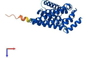 14-3-3 zeta Protein (YWHAZ) (AA 1-245) (His tag)