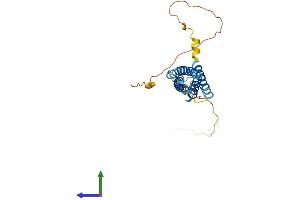 Protein Structure (PS) image for Membrane-Spanning 4-Domains, Subfamily A, Member 15 (MS4A15) (AA 1-240) protein (His tag) (ABIN7549268)