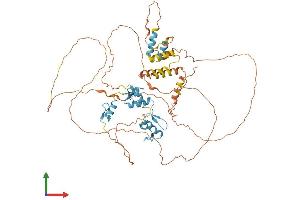 Protein Structure (PS) image for Hypermethylated in Cancer 2 (HIC2) (AA 1-615) protein (His tag) (ABIN7548284)