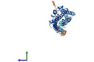 Protein Structure (PS) image for Purinergic Receptor P2Y, G-Protein Coupled, 8 (P2RY8) (AA 1-359) protein (His tag) (ABIN7550335)