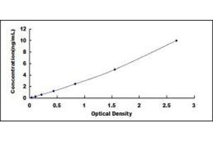 RIPK1 ELISA Kit