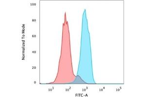 Flow Cytometric Analysis of PFA fixed MCF-7 cells using FOXA1 Mouse Monoclonal Antibody (FOXA1/1515), followed by goat anti-mouse IgG-CF488 (Blue), Goat anti-mouse IgG-CF488 Is Control (Red). (FOXA1 Antikörper  (AA 372-472))