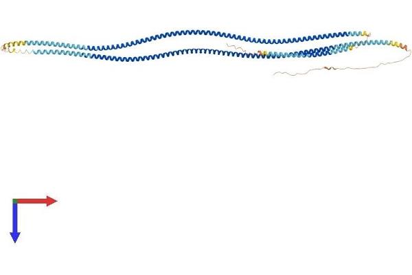 TSGA10 Protein (AA 1-697) (His tag)