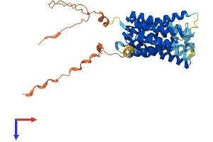 SLC35F1 Protein (AA 1-408) (His tag)