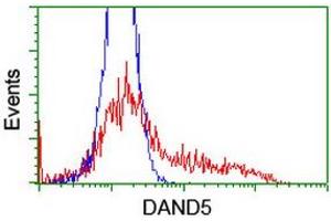 DAND5 Antikörper  (AA 23-189)