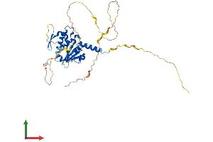 AlphaFold protein structure predicition of Mouse Recombinant Atcay Protein, UniprotID Q8BHE3