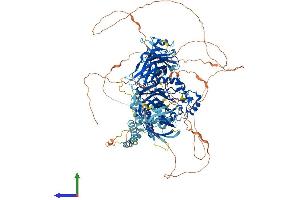 Protein Structure (PS) image for Inositol Polyphosphate-5-Phosphatase, 145kDa (INPP5D) (AA 1-1189) protein (His tag) (ABIN7555479)