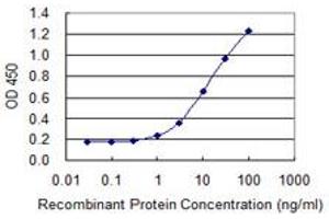 Detection limit for recombinant GST tagged SLC26A3 is 0. (SLC26A3 Antikörper  (AA 503-600))