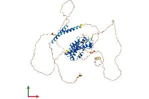 Protein Structure (PS) image for Prospero Homeobox 2 (PROX2) (AA 1-593) protein (His tag) (ABIN7558679)