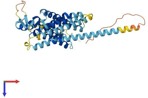 TRAM1L1 Protein (AA 1-369) (His tag)