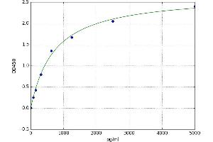 Interleukin 12 Receptor beta 1 (IL12RB1) ELISA Kit