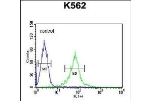 GAS2L1 Antibody (C-term) (ABIN654192 and ABIN2844043) flow cytometric analysis of K562 cells (right histogram) compared to a negative control cell (left histogram). (GAS2L1 Antikörper  (C-Term))