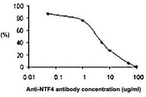 The effect of NTF4 polyclonal antibody  on the neurite outgrowth of embryonic dorsal root ganglion promoted by NTF4. (Neurotrophin 4 Antikörper)
