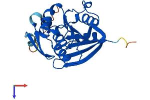 FAM119A Protein (AA 1-218) (His tag)