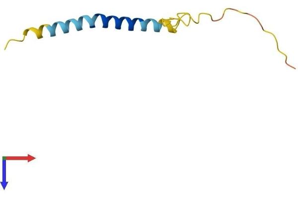 ADIG Protein (AA 1-80) (Fc Tag)