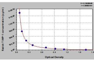 Typical standard curve (TIMP1 ELISA Kit)