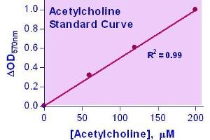Biochemical Assay (BCA) image for Acetylcholine Assay Kit (ABIN1000286) (Acetylcholine Assay Kit)