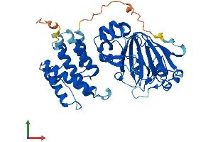 Protein Structure (PS) image for Jumonji Domain Containing 5 (JMJD5) (AA 1-414) protein (His tag) (ABIN7560726)