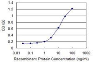 Detection limit for recombinant GST tagged CTNNB1 is 0. (CTNNB1 Antikörper  (AA 682-781))