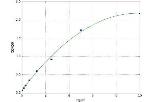 Activating Transcription Factor 4 (Tax-Responsive Enhancer Element B67) (ATF4) ELISA Kit