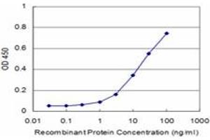 Detection limit for recombinant GST tagged PRDM1 is approximately 3ng/ml as a capture antibody. (PRDM1 Antikörper  (AA 1-109))