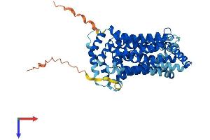 SLC2A7 Protein (AA 1-512) (His tag)