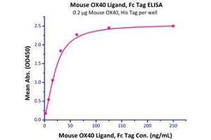 Immobilized Mouse OX40, His Tag (Cat# OX0-M5228) at 2 μg/mL (100 μl/well) can bind Mouse OX40 Ligand, Fc Tag (Cat# OXL-M526x) with a linear range of 2-30 ng/mL. (TNFRSF4 Protein (AA 20-211) (His tag))