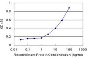 Sandwich ELISA detection sensitivity ranging from 3 ng/mL to 100 ng/mL. (GALT (Human) Matched Antibody Pair)