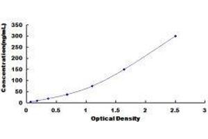 ELISA image for Insulin-Like Growth Factor 2 (IGF2) ELISA Kit (ABIN431342)
