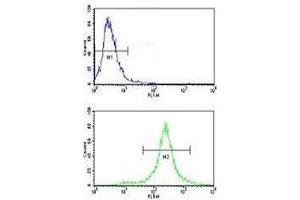 Flow cytometric analysis of NCI-H460 cells using c-Kit antibody (green) compared to a negative control cell (blue).