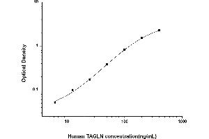 Transgelin ELISA Kit