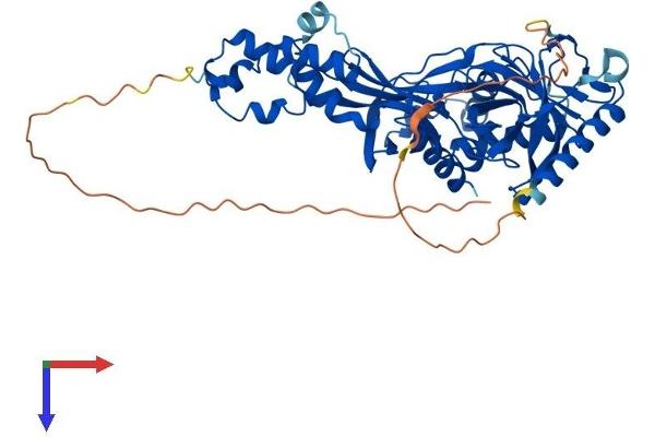FBXO31 Protein (AA 1-507) (His tag)