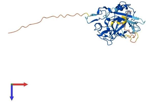 SETMAR Protein (AA 1-309) (His tag)