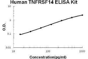 Human TNFRSF14/HVEM PicoKine ELISA Kit standard curve