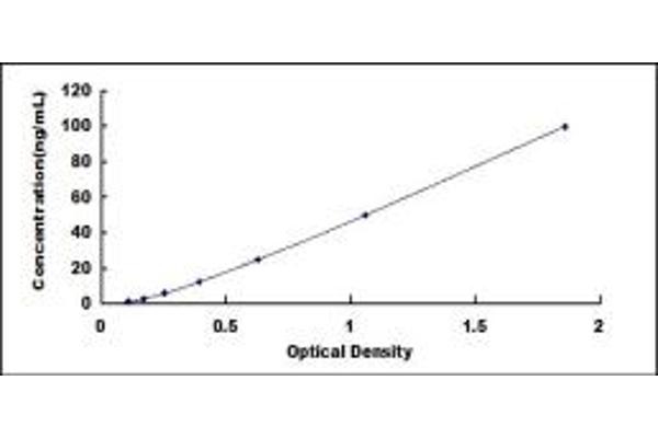 C4BPA ELISA Kit