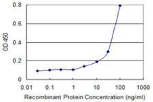 ELISA image for anti-Heme Oxygenase (Decycling) 2 (HMOX2) (AA 1-316) antibody (ABIN561297)