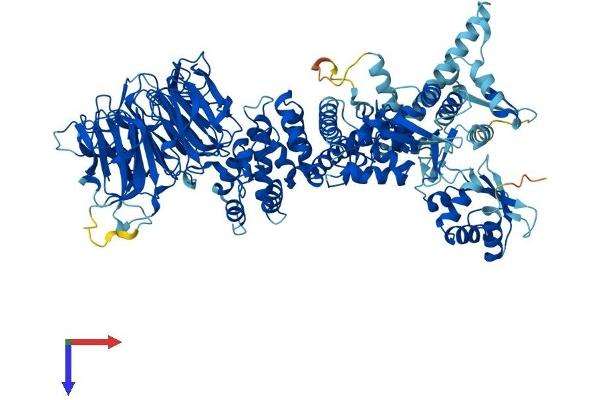 HERC4 Protein (AA 1-1057) (His tag)