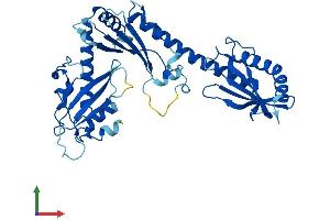 Protein Structure (PS) image for Brain and Reproductive Organ-Expressed (TNFRSF1A Modulator) (BRE) (AA 1-383) protein (His tag) (ABIN7552882)