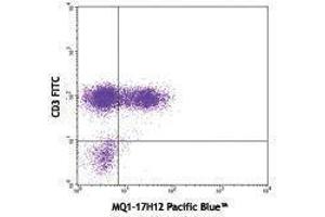 Flow Cytometry (FACS) image for anti-Interleukin 2 (IL2) antibody (Pacific Blue) (ABIN2662352) (IL-2 Antikörper  (Pacific Blue))