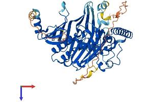 OSBPL2 Protein (AA 1-480) (His tag)