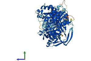 Protein Structure (PS) image for Carnosine Synthase 1 (CARNS1) (AA 1-827) protein (His tag) (ABIN7546839)