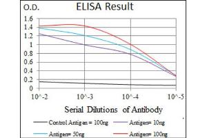 Red: Control Antigen (100ng) ; Purple: Antigen (10ng) ; Green: Antigen (50ng) ; Blue: Antigen (100ng). (CD33 Antikörper  (AA 15-237))