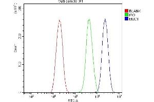 Flow Cytometry analysis of U20S cells using anti-MBD1 antibody (ABIN7603182).