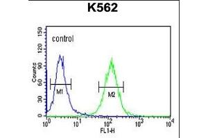 RTN4RL1 Antibody (C-term) (ABIN651458 and ABIN2840251) flow cytometric analysis of K562 cells (right histogram) compared to a negative control cell (left histogram). (RTN4RL1 Antikörper  (C-Term))
